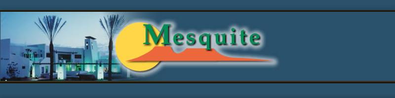 Mesquite County Police Department